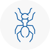 Ant Removals In Flint